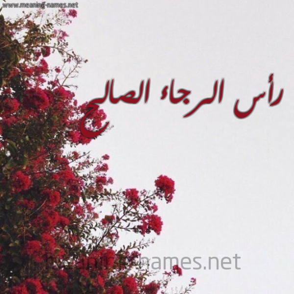 شكل 18 صوره الورد الأحمر للإسم بخط رقعة صورة اسم رأس الرجاء الصالح RAS-ALRGAA-ALSALH